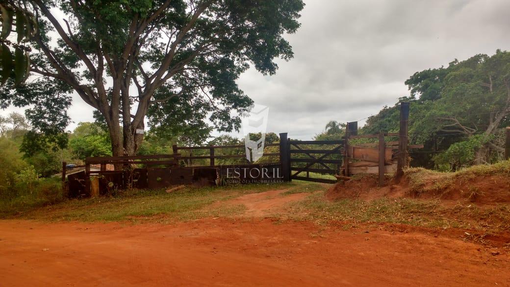 Sítio com 2 dormitórios à venda, AGUA DA ONÇA, AVARE - SP