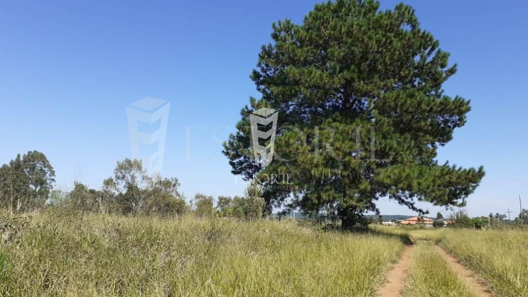 Terreno à venda, GOLF, AVARE - SP