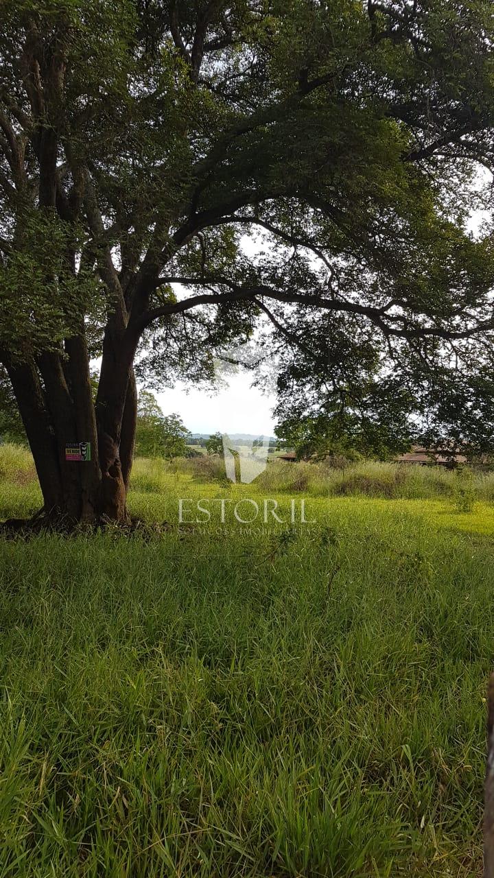 Terreno à venda, REPRESA DE JURUMIRIM, AVARE - SP