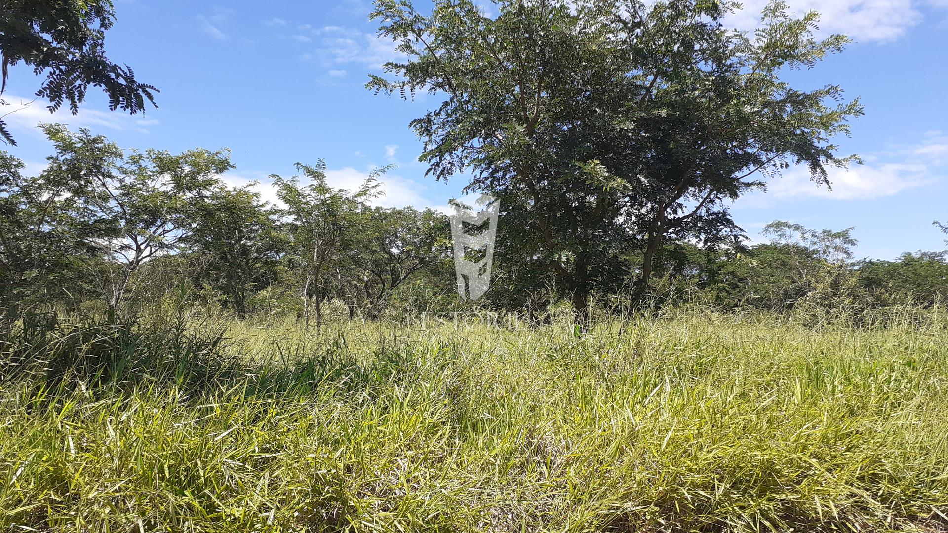 Terreno à venda, GOLF, AVARE - SP