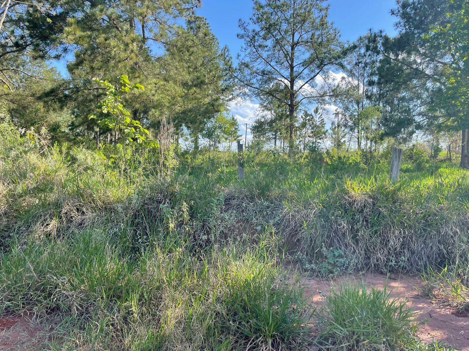TERRENO À VENDA EM AVARÉ - SP, LOCALIZADO NO AVARÉ GOLF COUNTRY