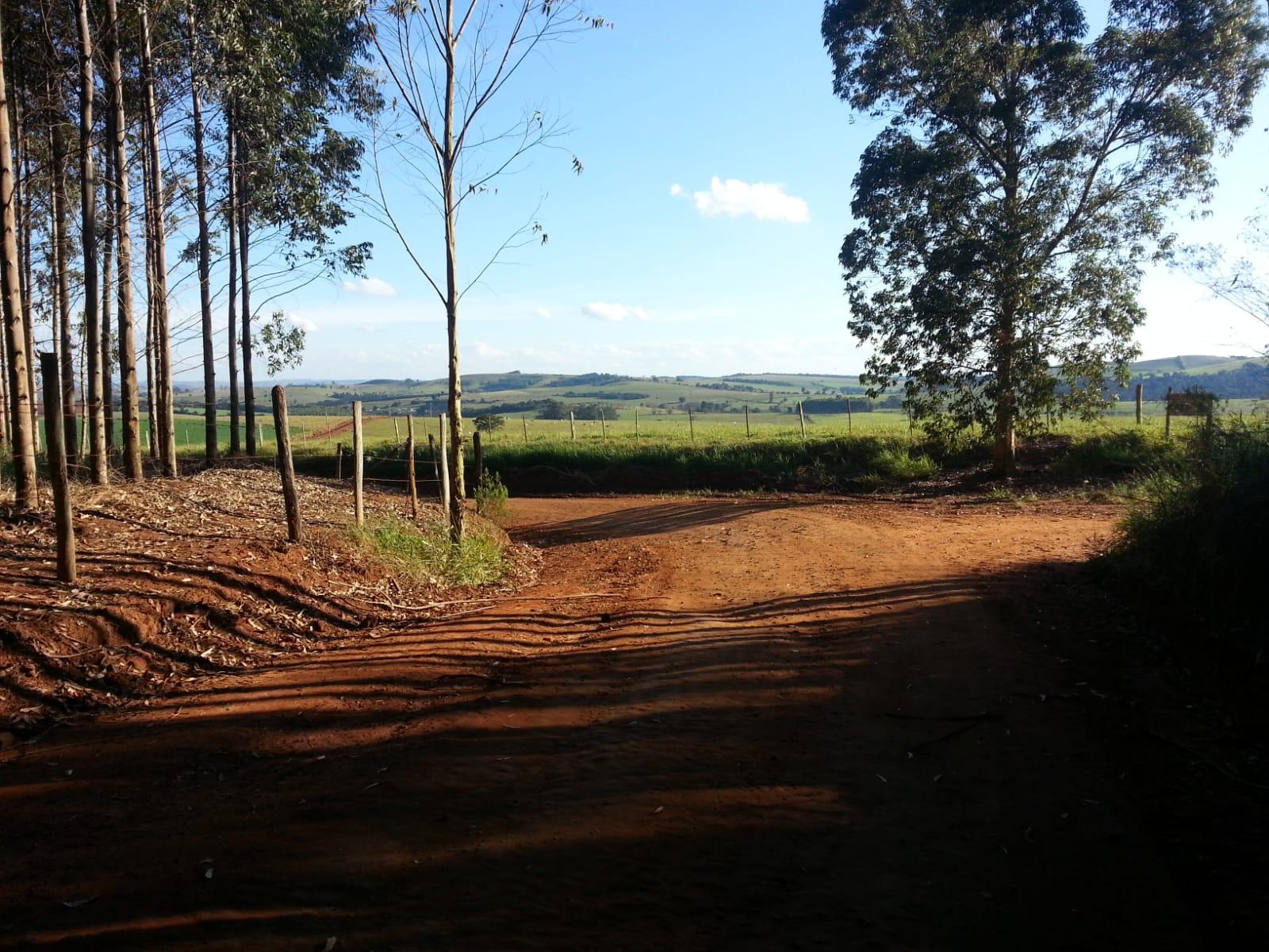 Sítio à venda, CORONEL MACEDO, CORONEL MACEDO - SP
