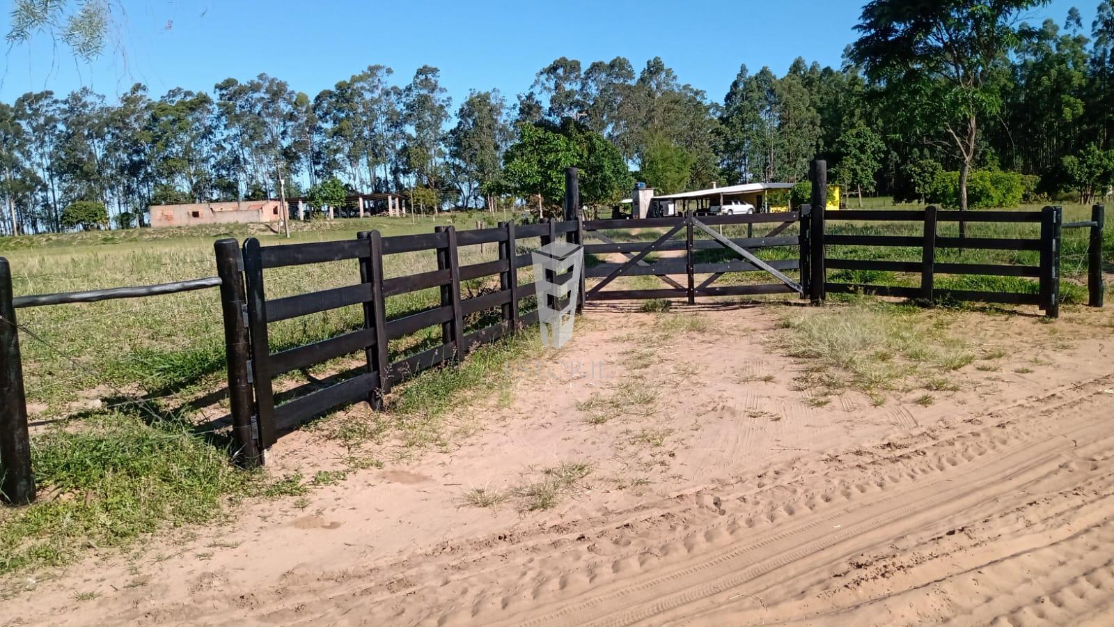 Sítio à venda, Rural, AVARE - SP