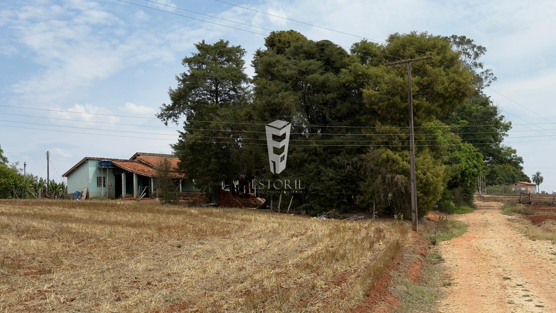 SÍTIO À VENDA, 5,5 ALQUEIRES, PARANAPANEMA