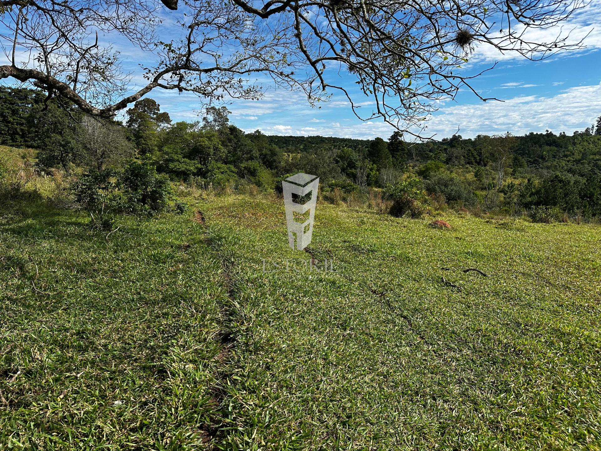 Sítio - Foto 5