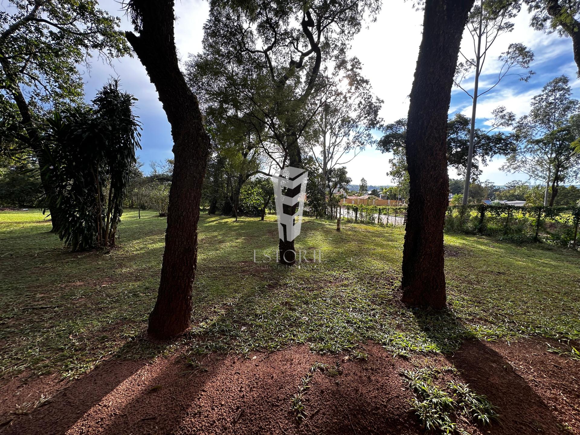 Chácara, 2 quartos, 6000 m² - Foto 3