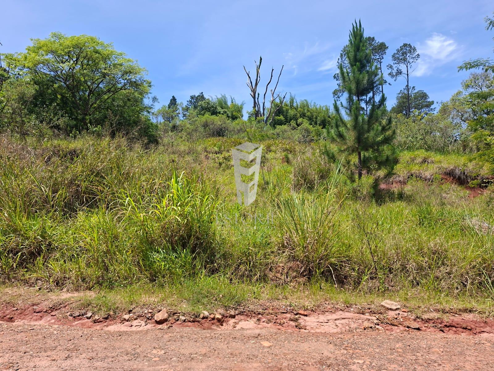 Terreno - Foto 1
