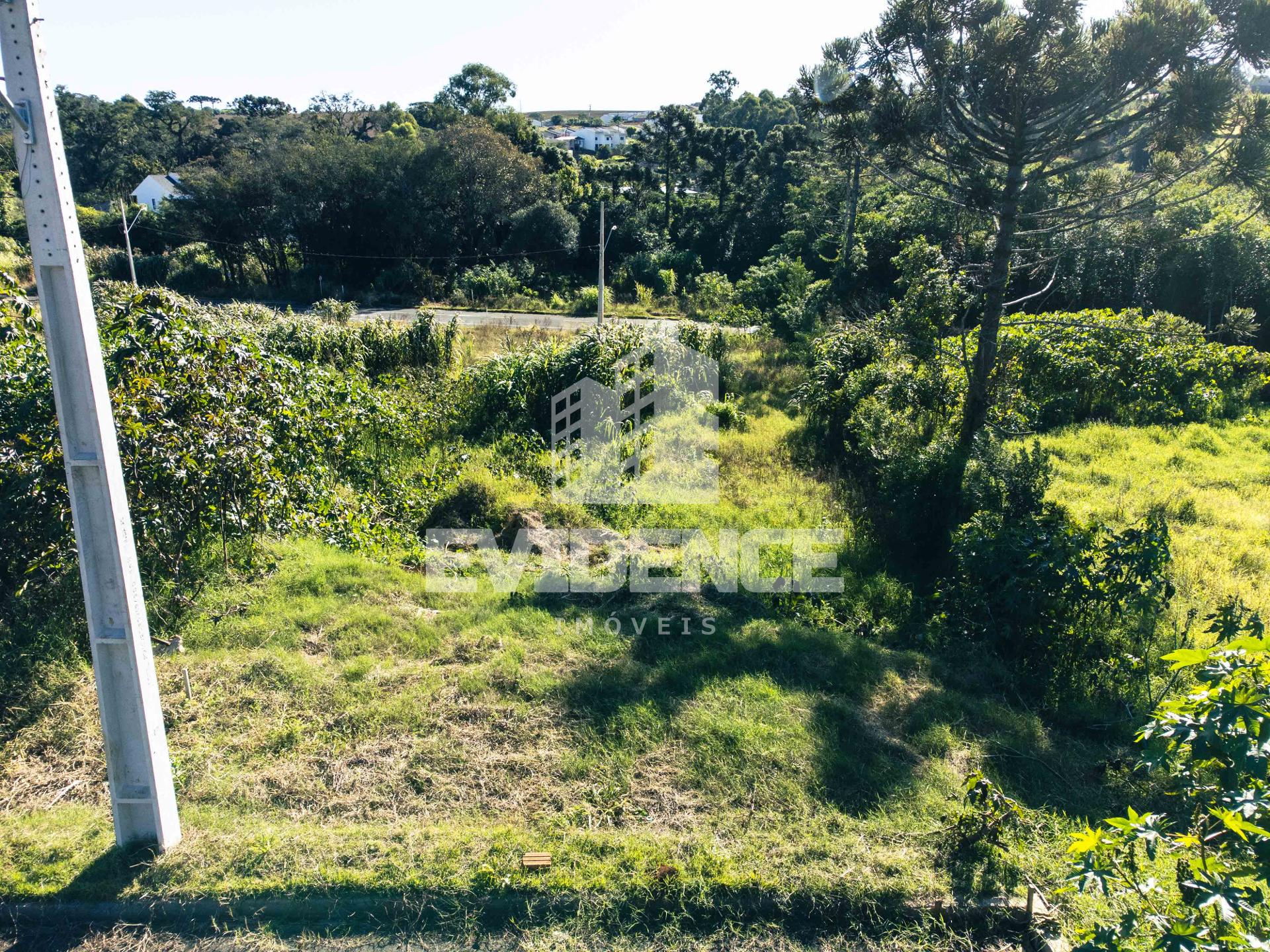 TERRENO À VENDA LOCALIZADO NO BAIRRO PAGNONCELLI