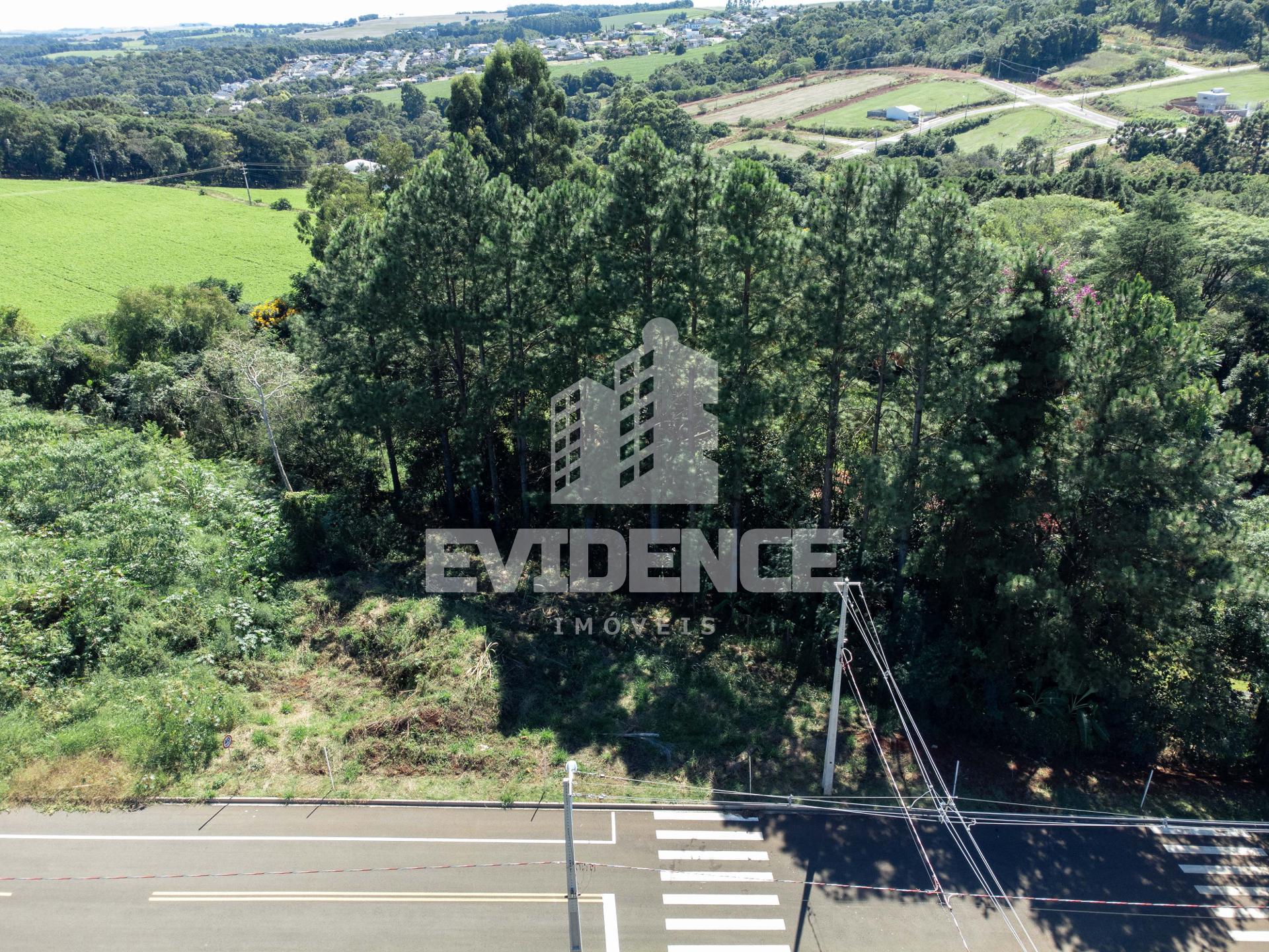 TERRENO À VENDA LOCALIZADO NO BAIRRO SÃO FRANCISCO