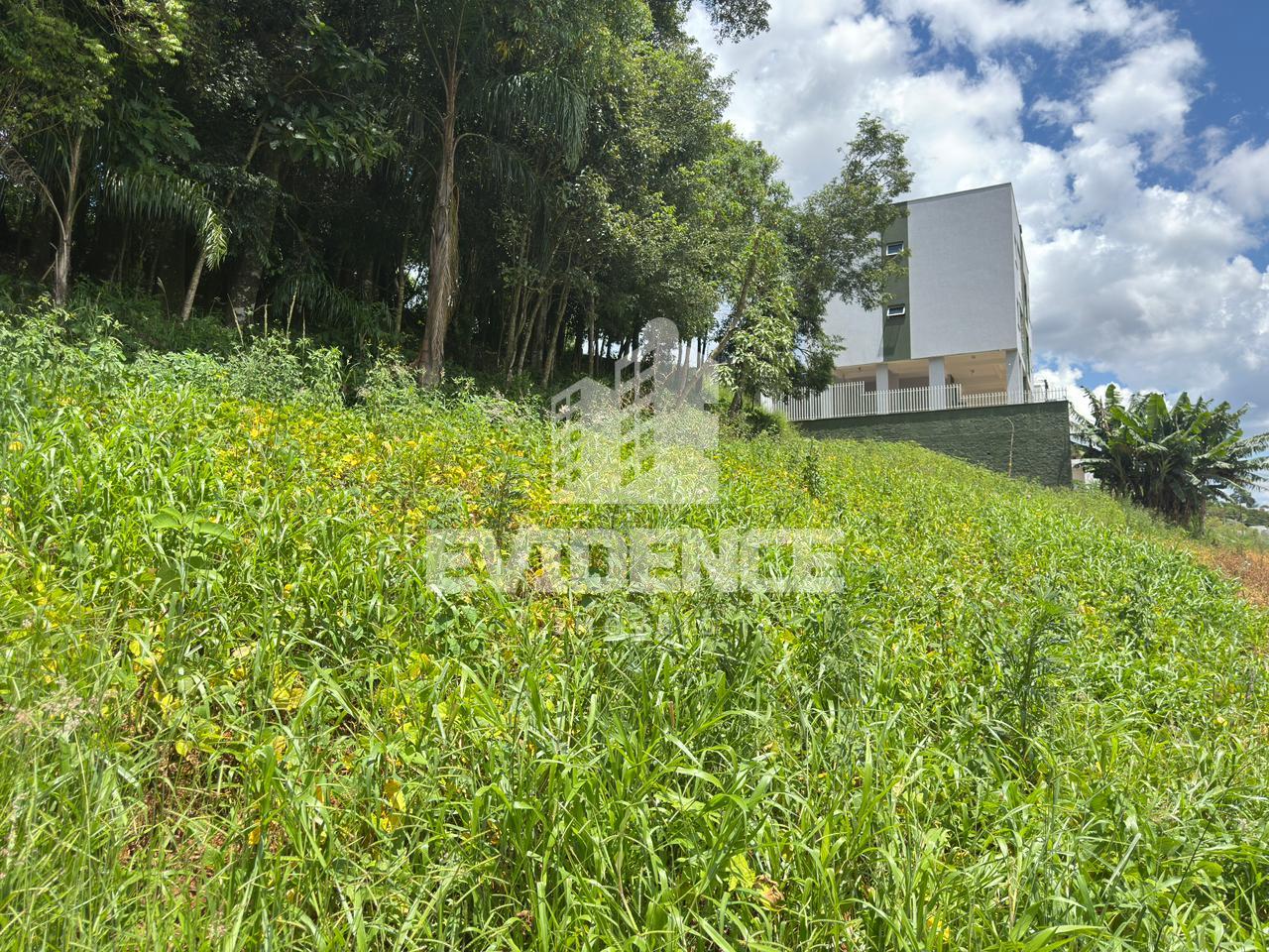 TERRENO A VENDA NO BAIRRO VILA ISABEL