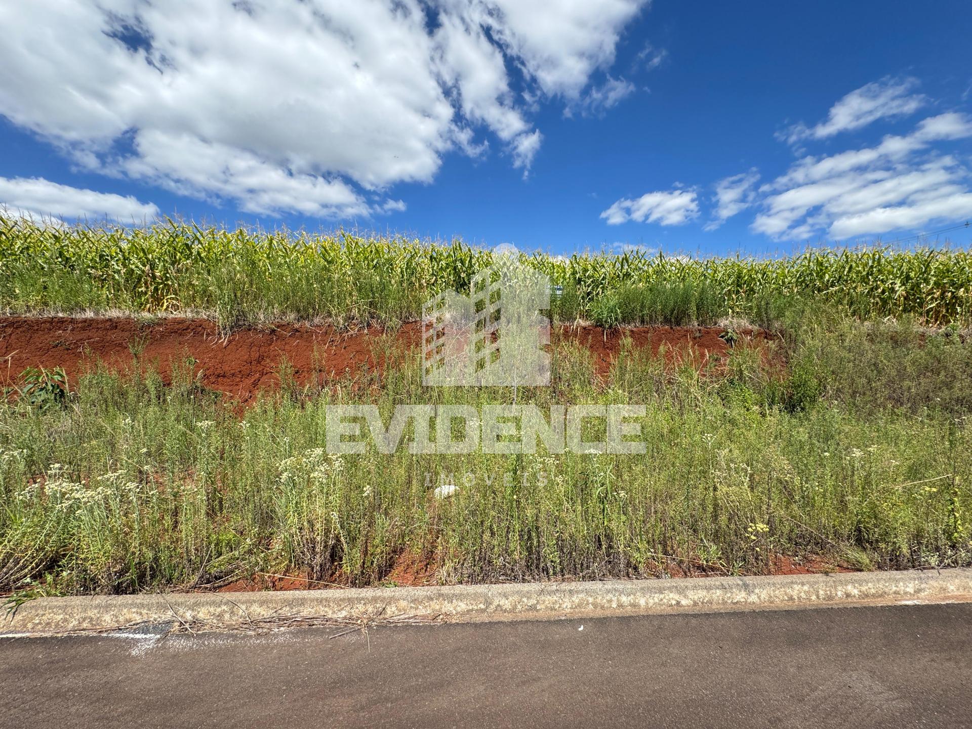 TERRENO A VENDA NO BAIRRO FRARON