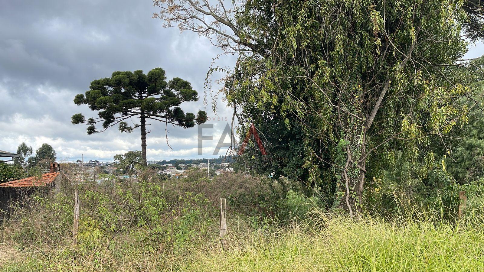 Terreno ótimo para construção de prédios e grandes empreendimentos.