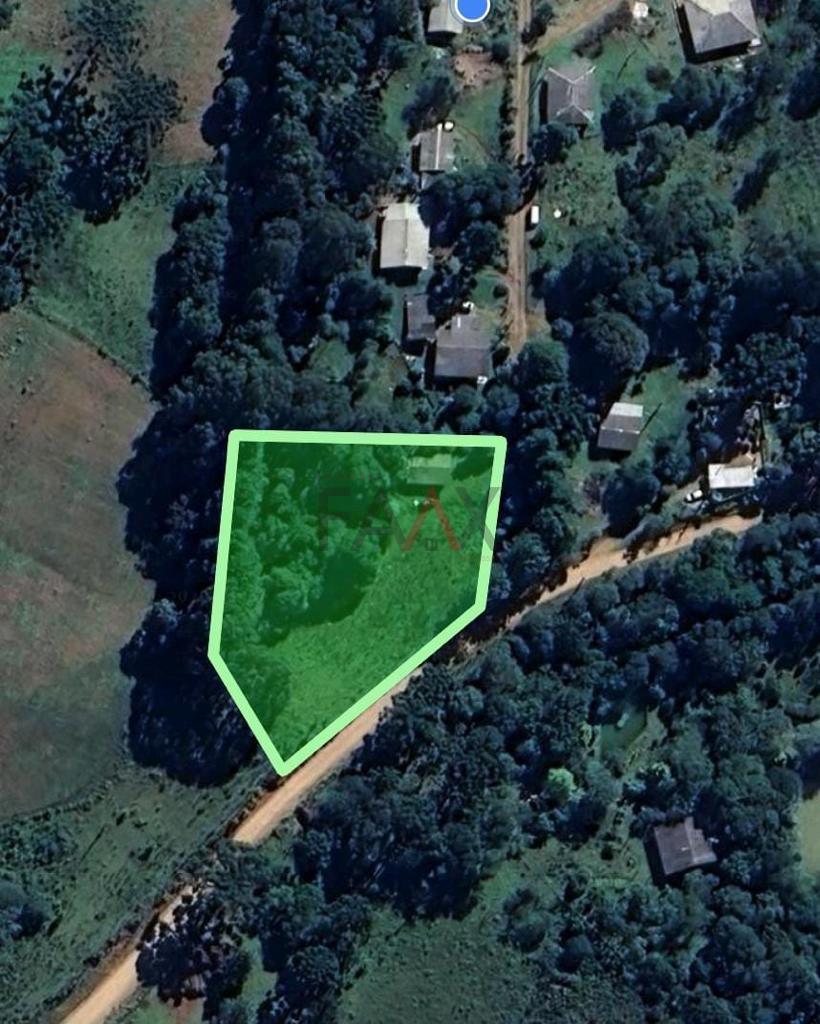 Terreno à venda, MORRO ALTO, GUARAPUAVA - PR