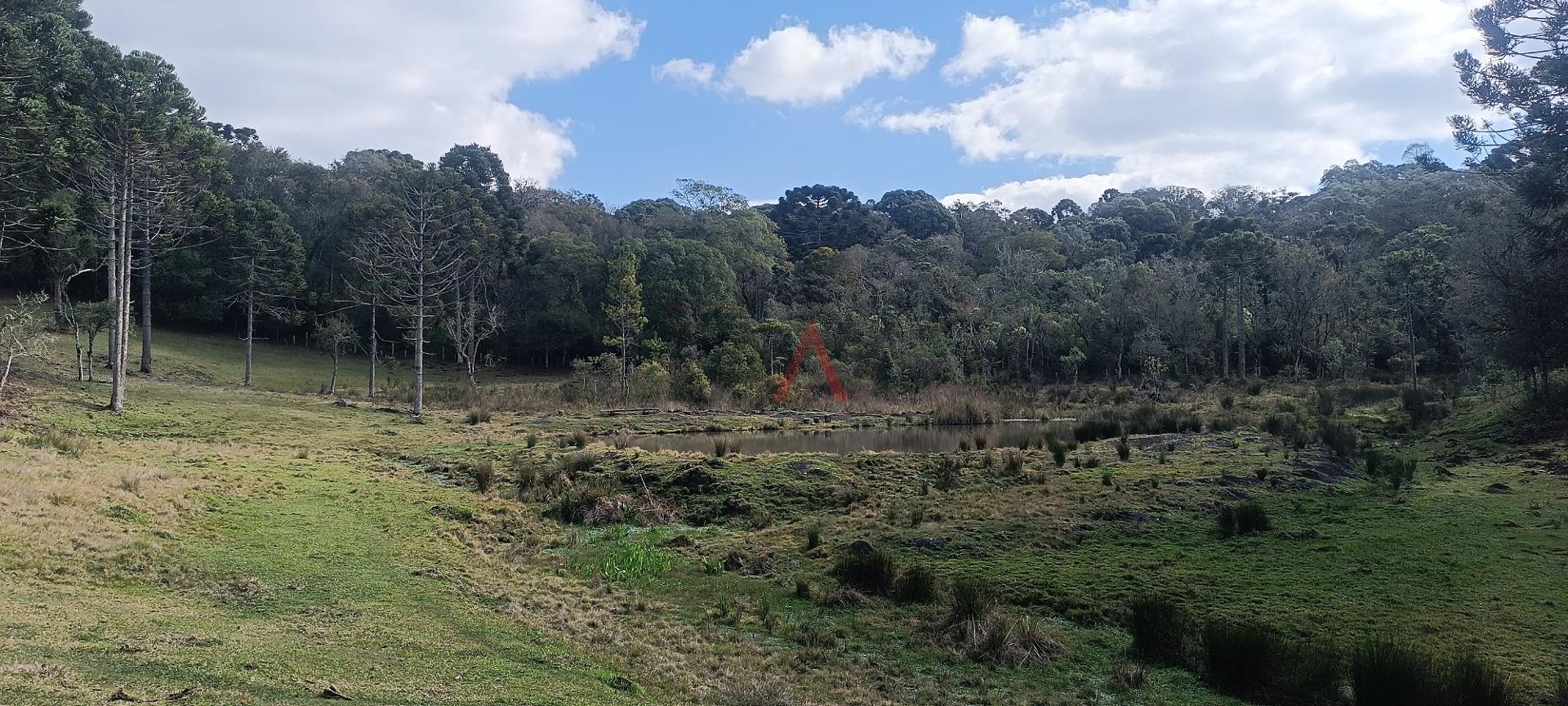 Chácara à venda com 12,5884 hectares, PALMEIRINHA, GUARAPUAVA - PR