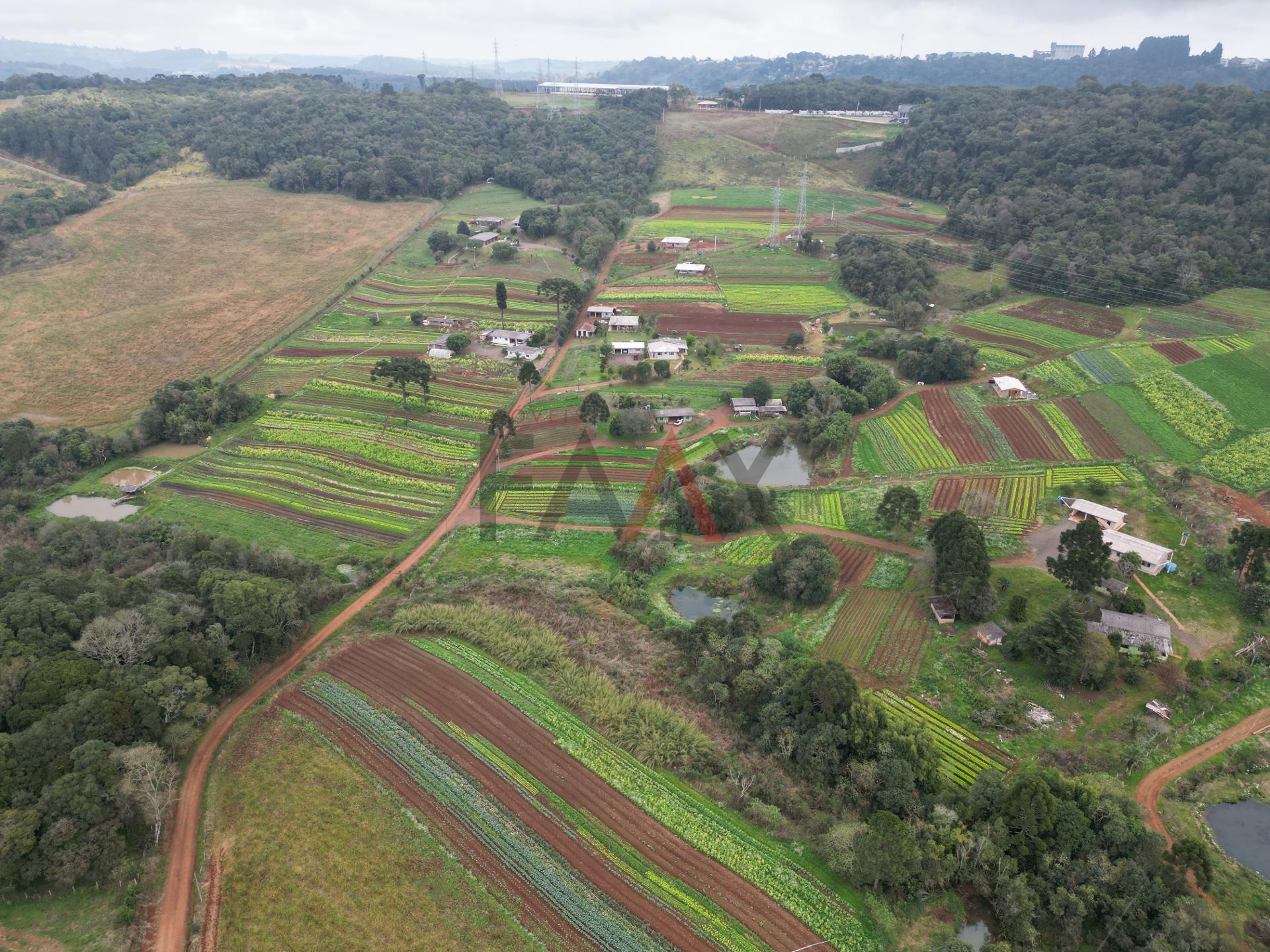 Terreno à venda, JORDÃO, GUARAPUAVA - PR