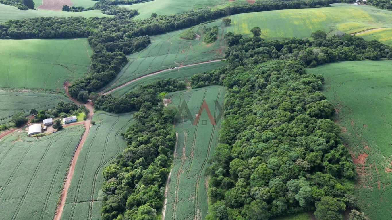 Fazenda à venda, 122026m² - Foto 4