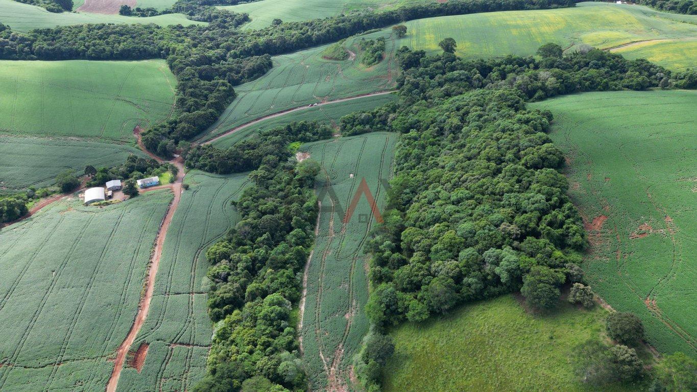 Fazenda à venda, 122026m² - Foto 5