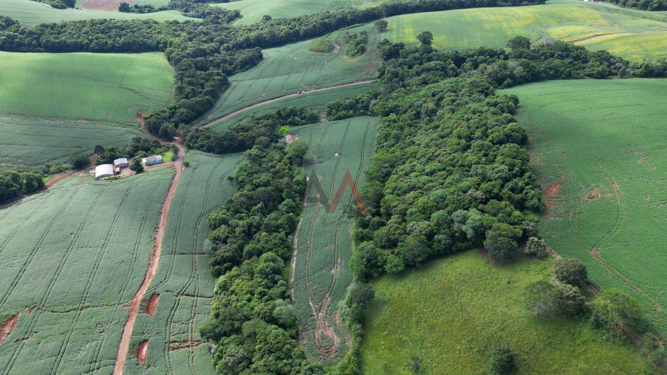 Fazenda à venda, 122026m² - Foto 6