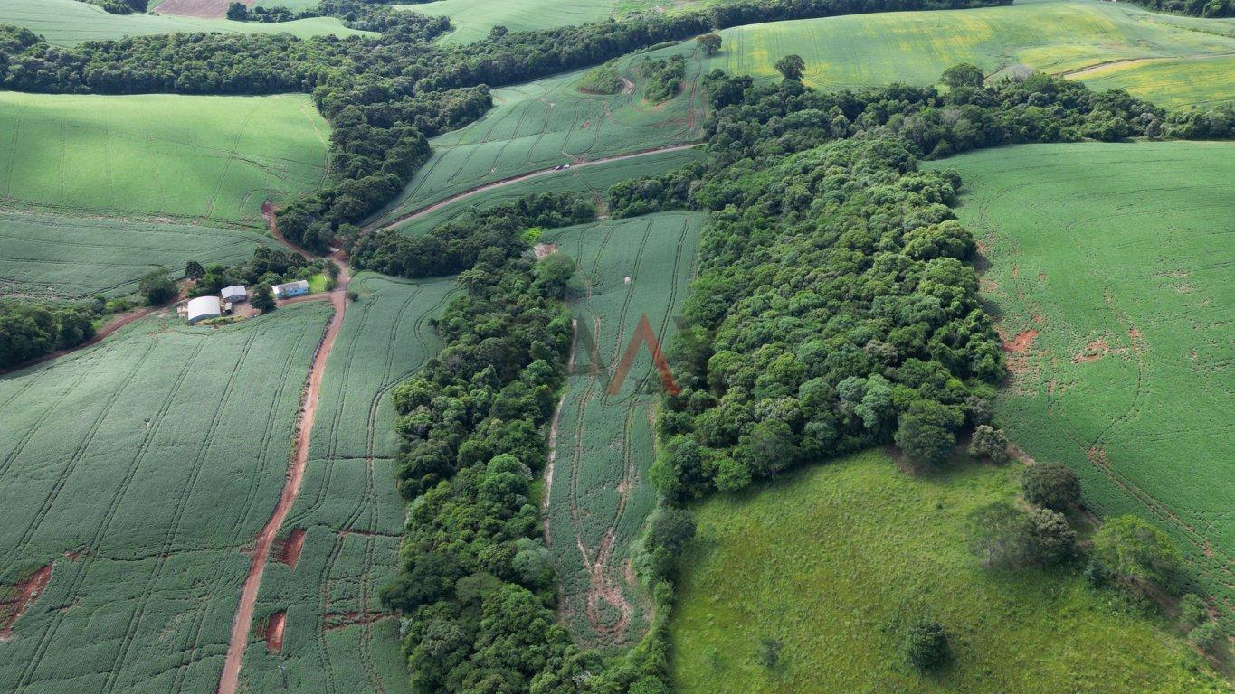 Fazenda à venda, 122026m² - Foto 8
