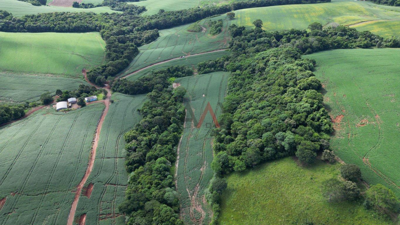 Fazenda à venda, 122026m² - Foto 9