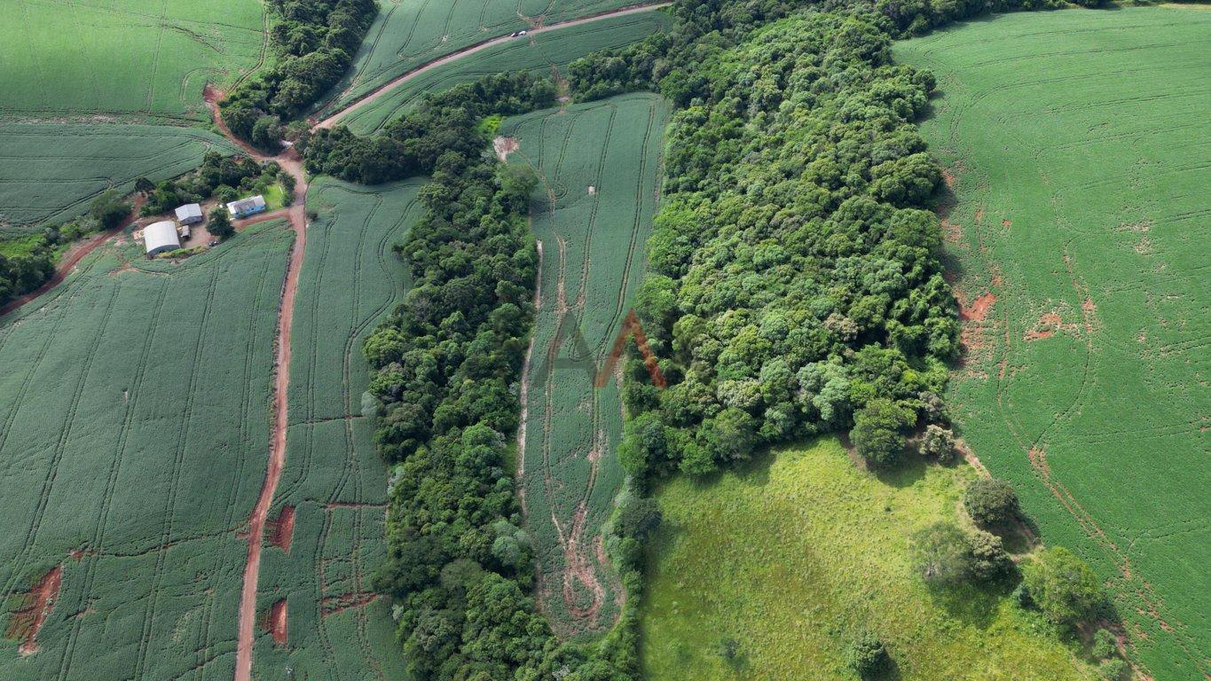 Fazenda à venda, 122026m² - Foto 10