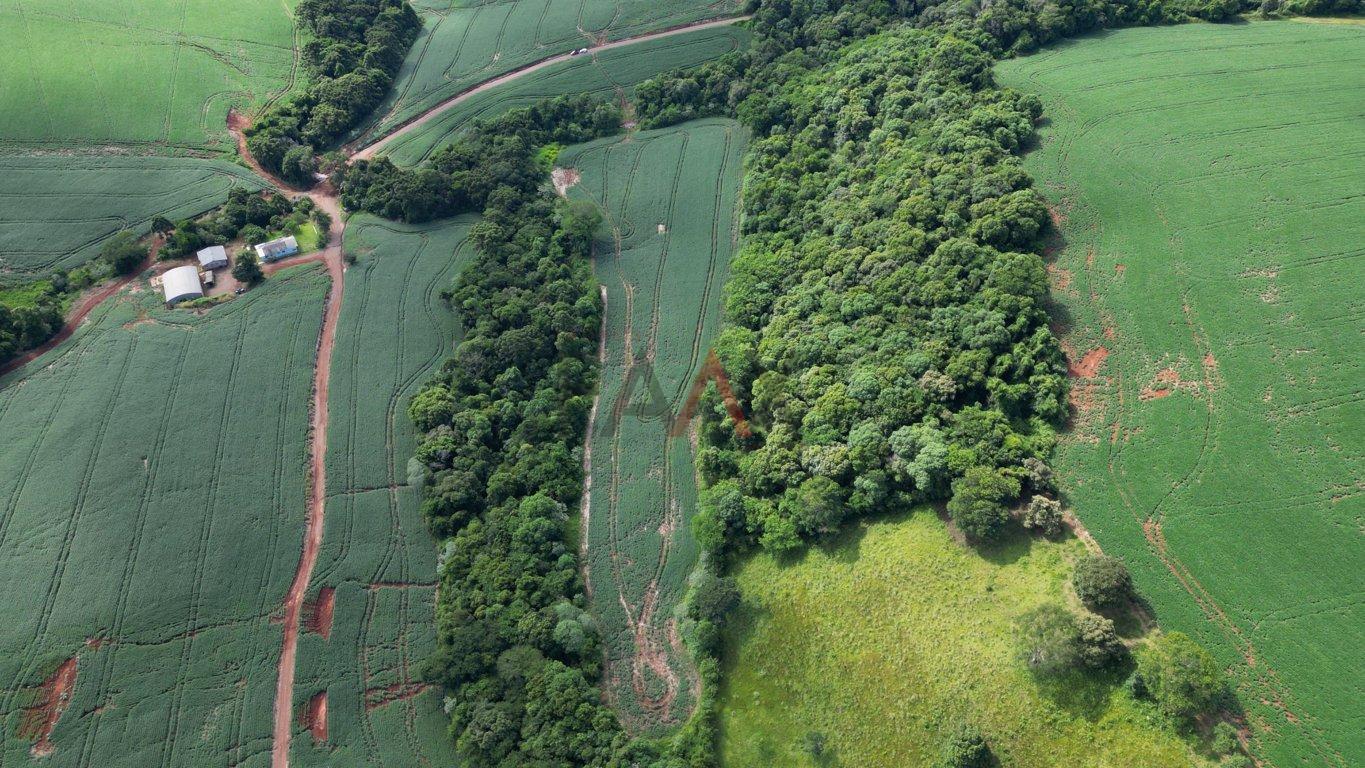 Fazenda à venda, 122026m² - Foto 11