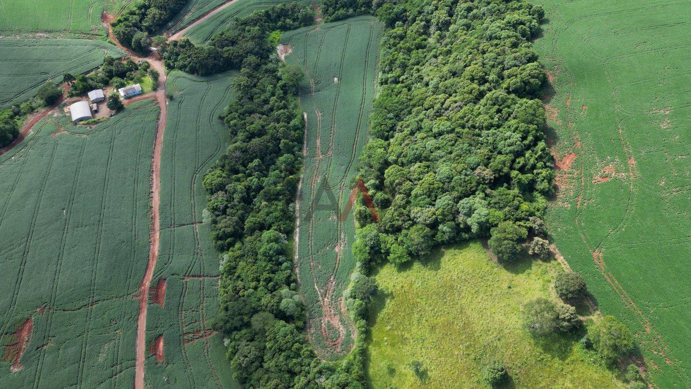 Fazenda à venda, 122026m² - Foto 12