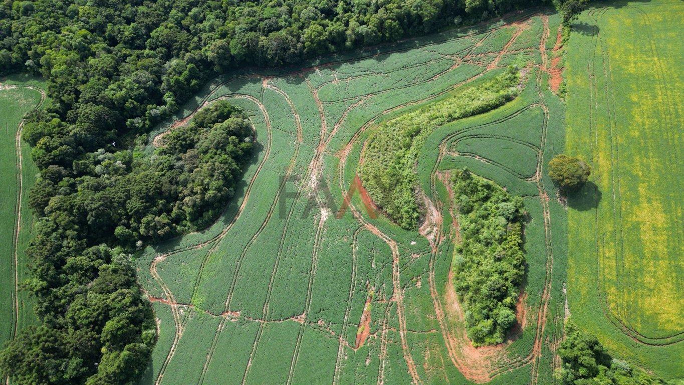 Fazenda à venda, 122026m² - Foto 21