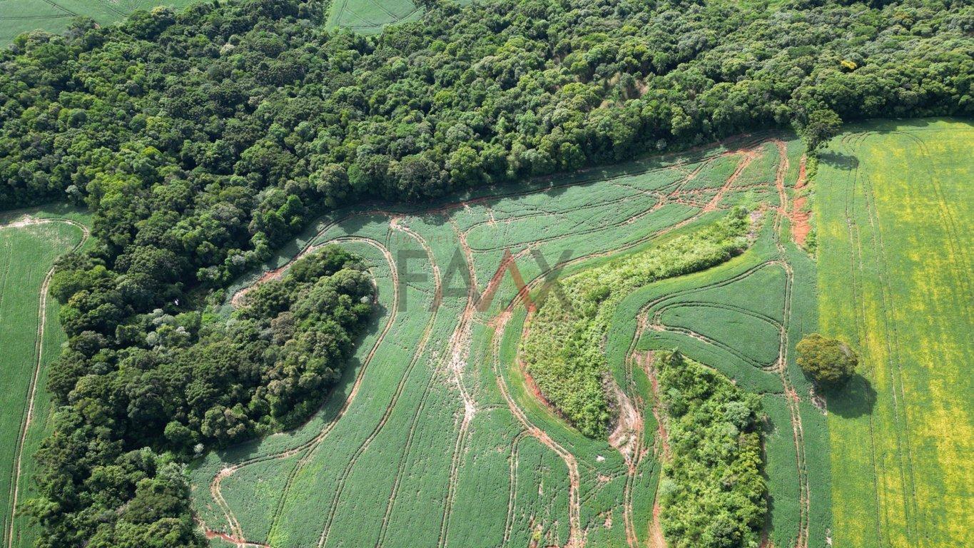 Fazenda à venda, 122026m² - Foto 22