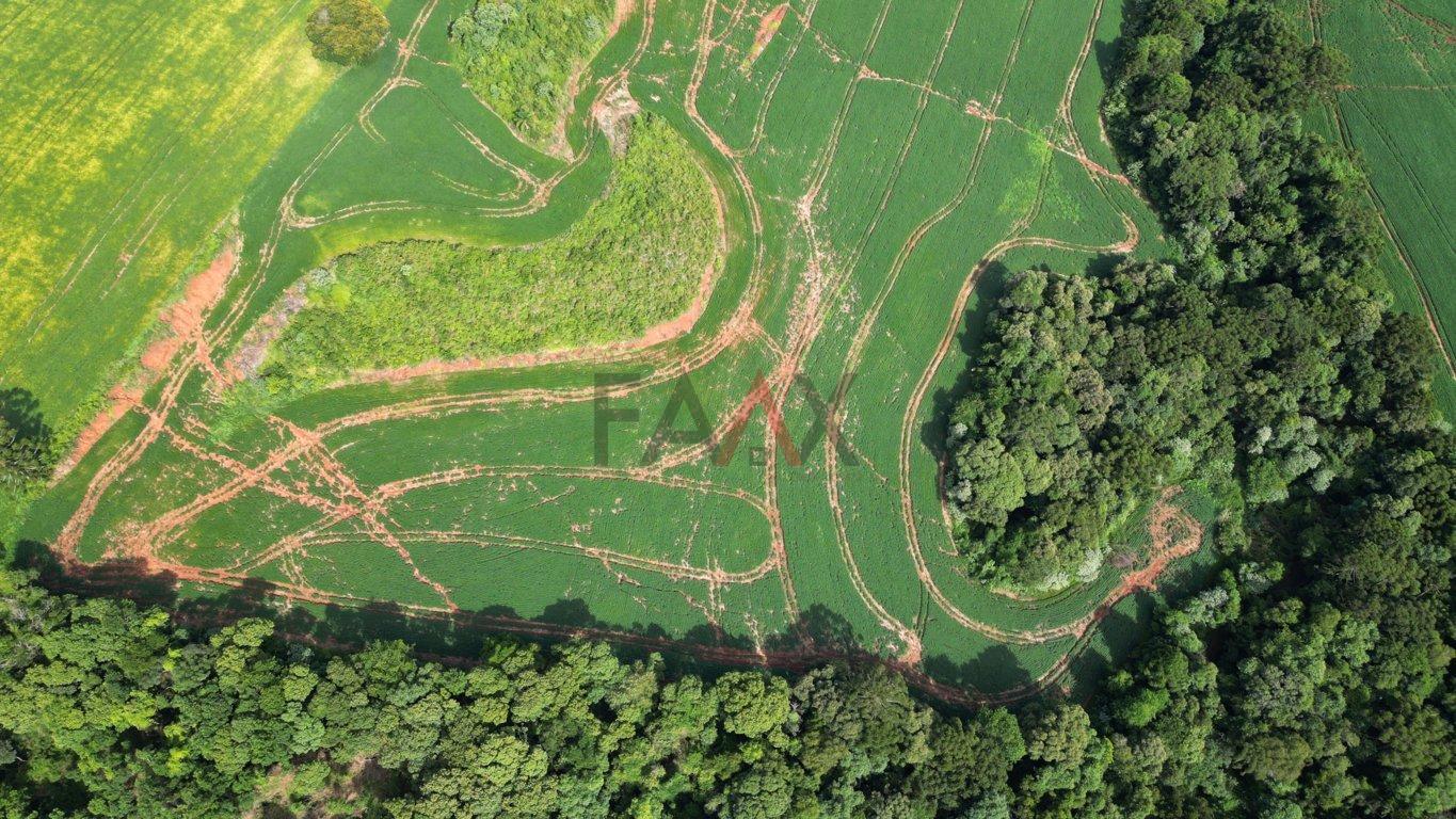 Fazenda à venda, 122026m² - Foto 24