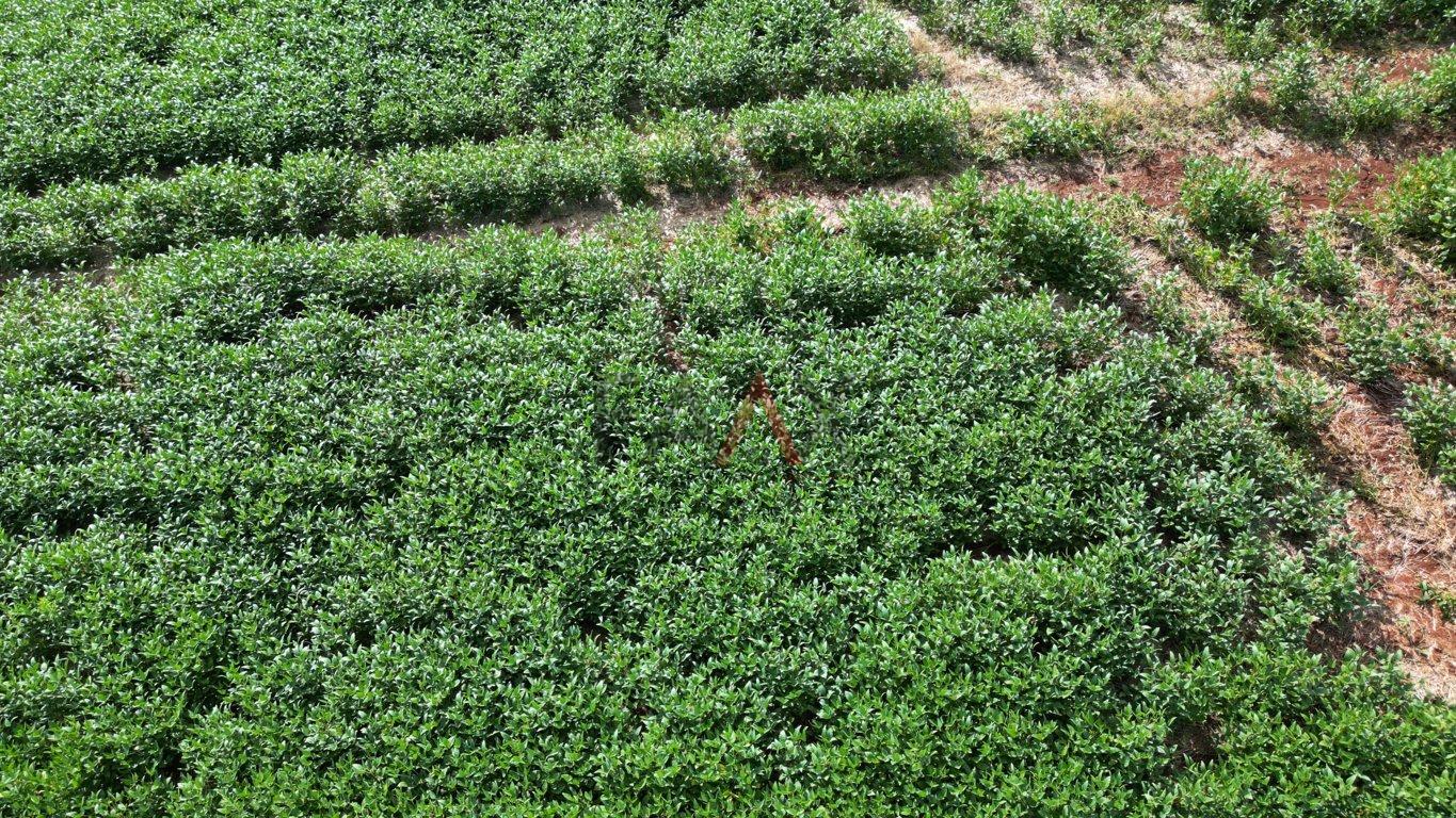 Fazenda à venda, 122026m² - Foto 38