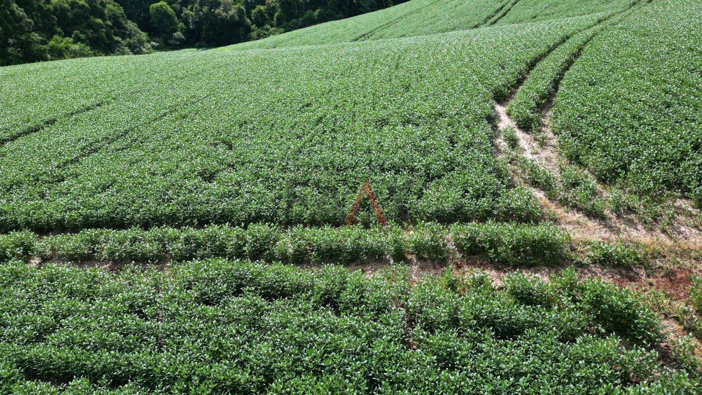 Fazenda à venda, 122026m² - Foto 39