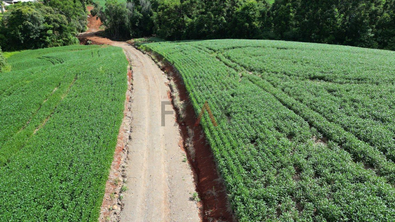 Fazenda à venda, 122026m² - Foto 41