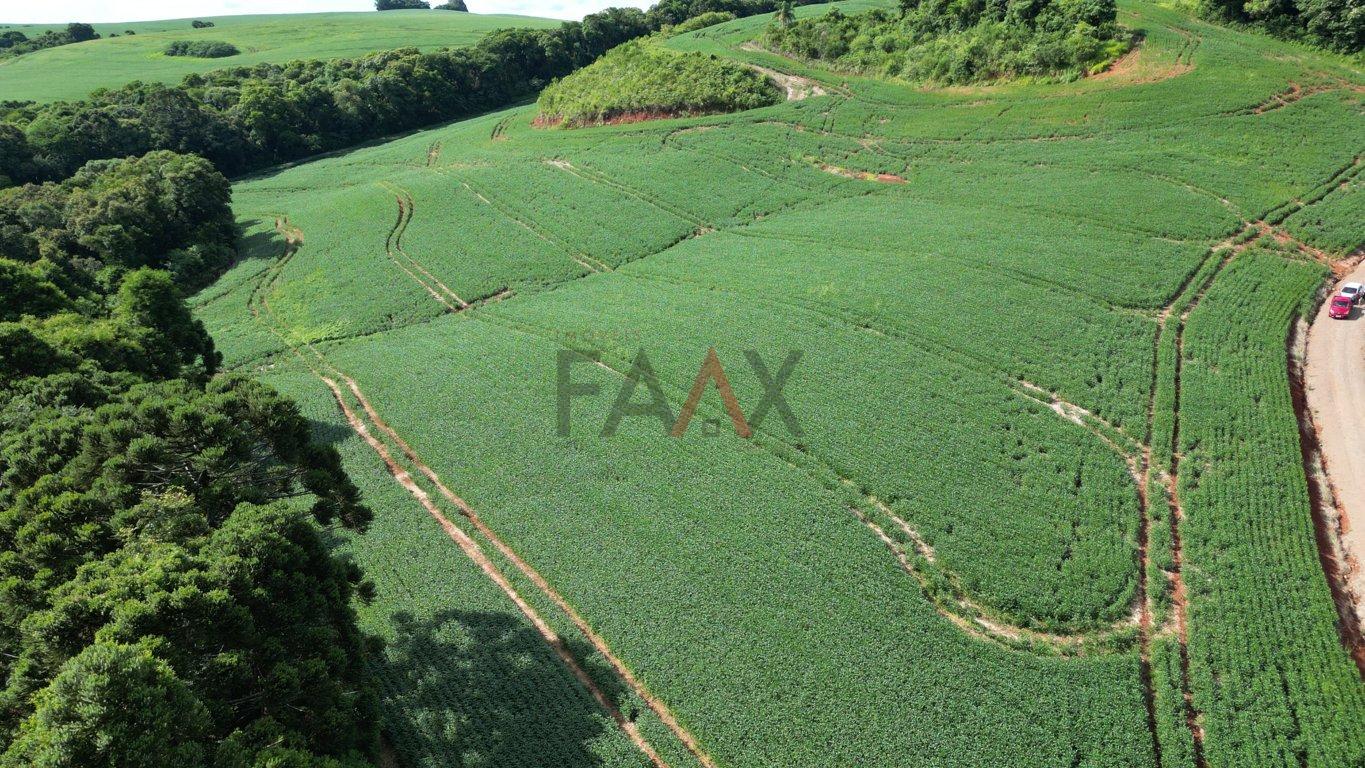Fazenda à venda, 122026m² - Foto 42