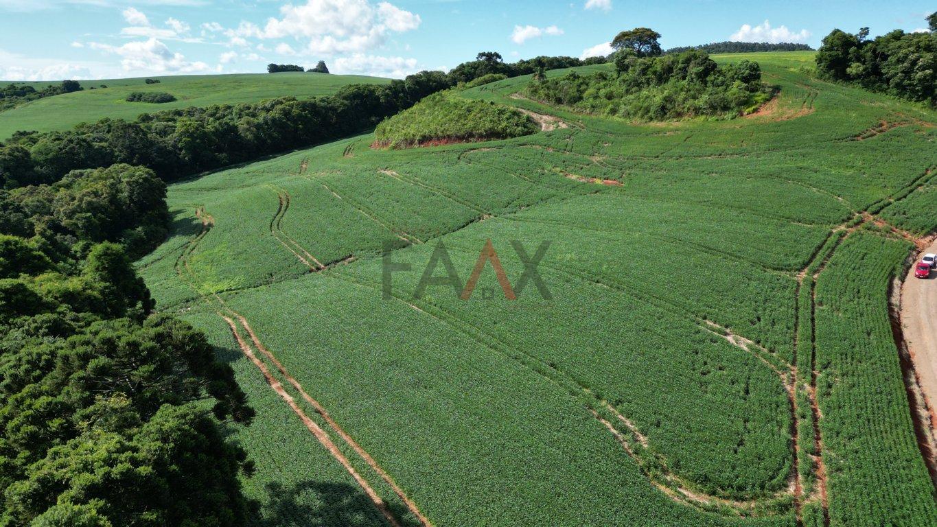 Fazenda à venda, 122026m² - Foto 43