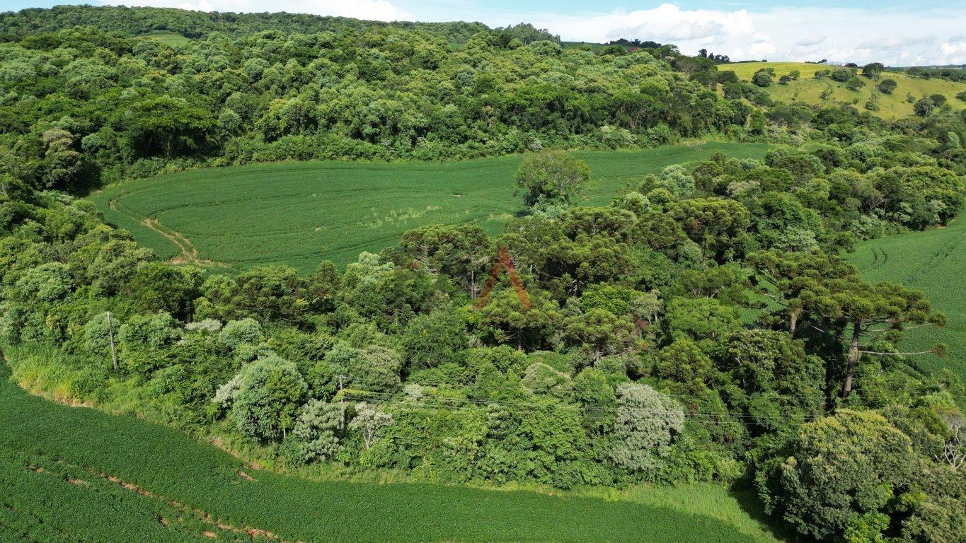 Fazenda à venda, 122026m² - Foto 47