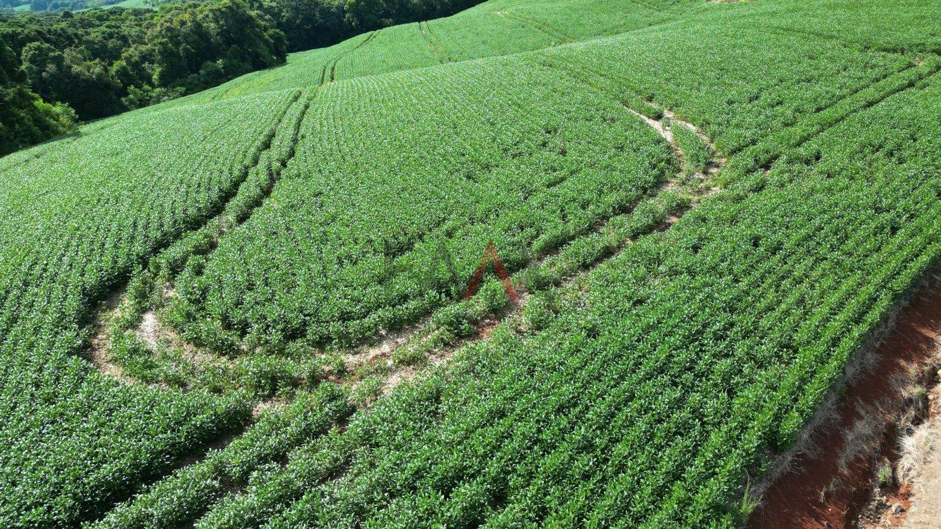 Fazenda à venda, 122026m² - Foto 49