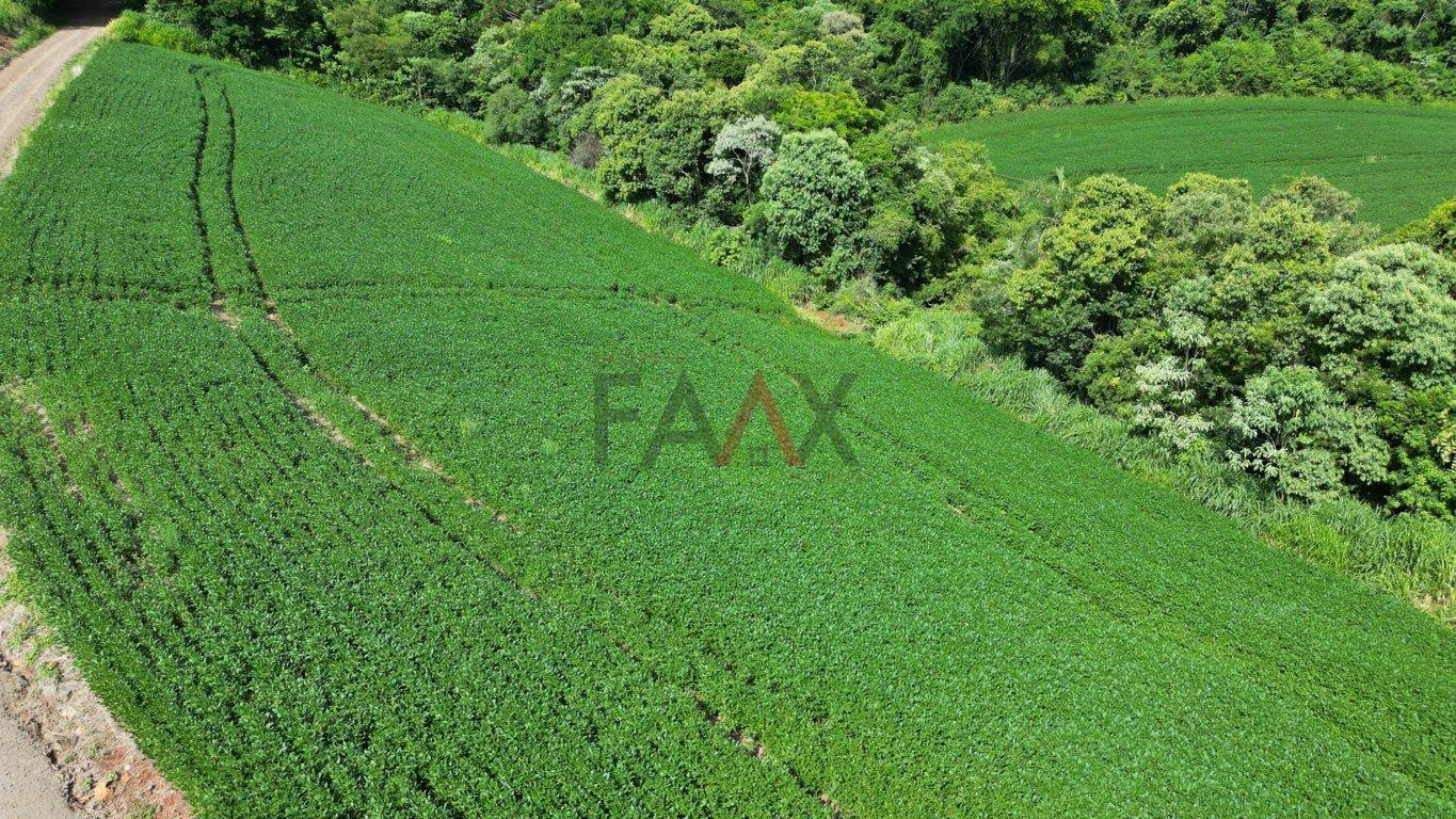 Fazenda à venda, 122026m² - Foto 50