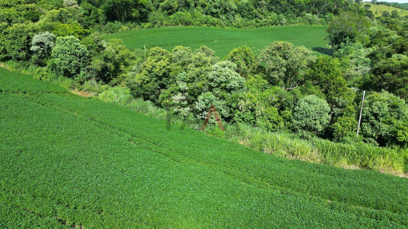 Fazenda à venda, 122026m² - Foto 51