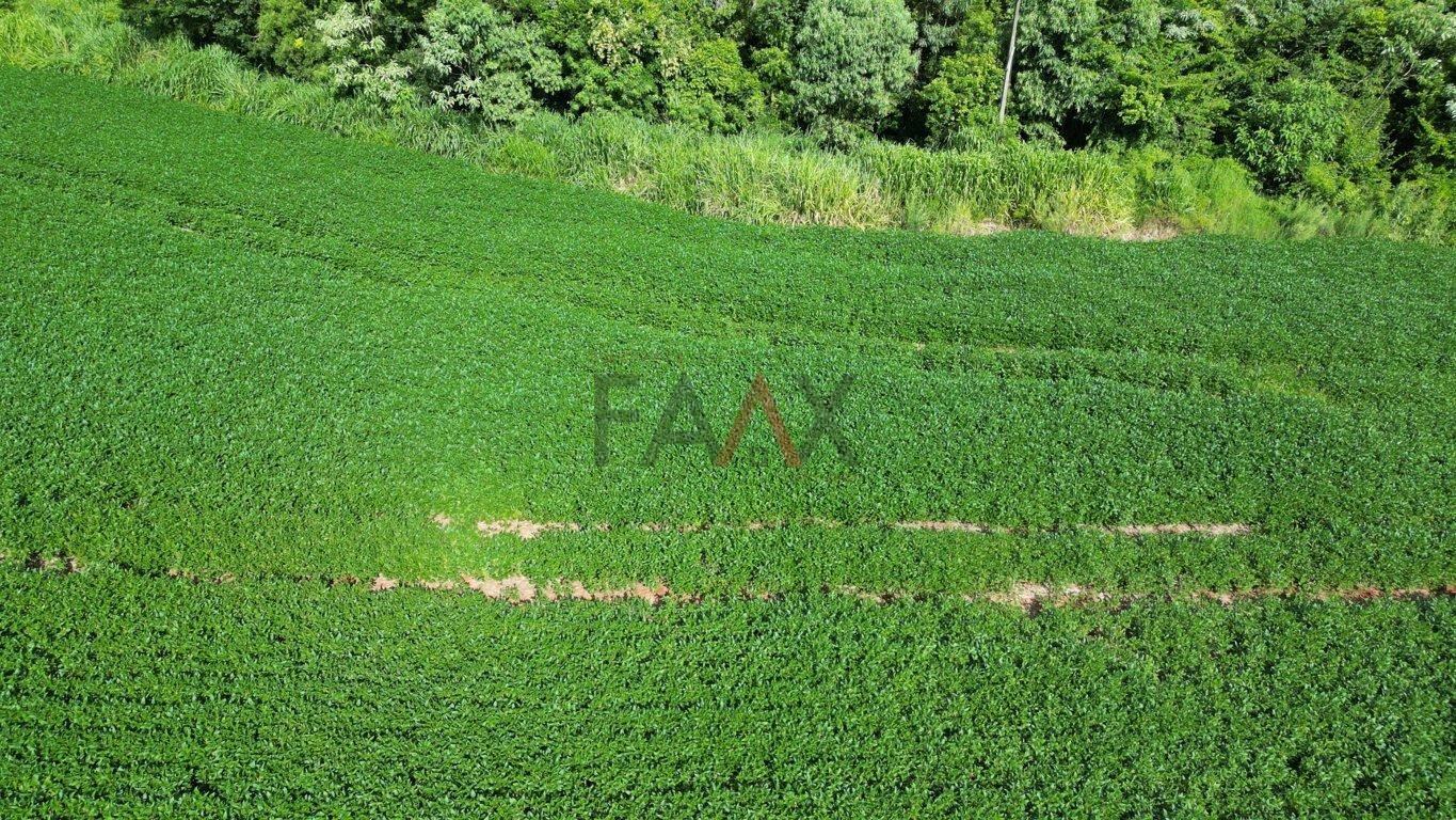 Fazenda à venda, 122026m² - Foto 52