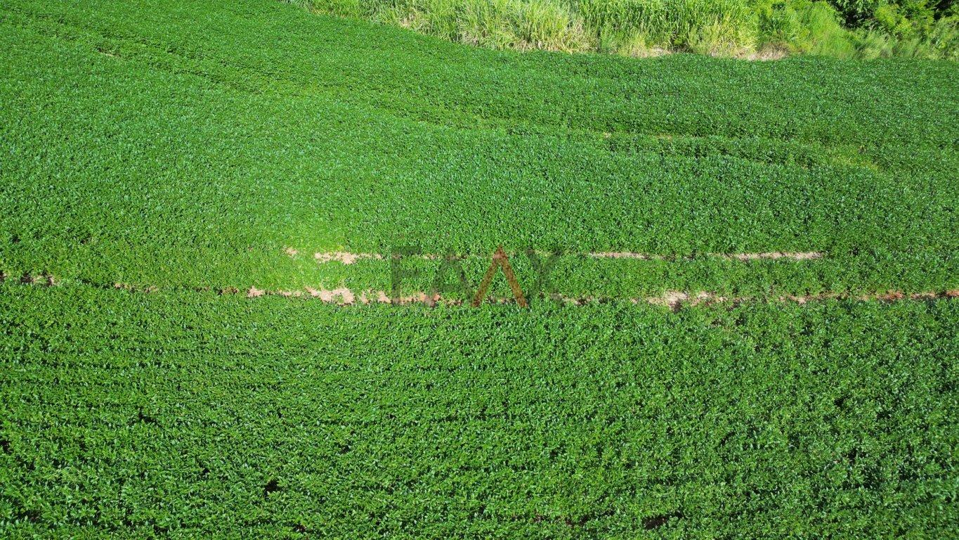 Fazenda à venda, 122026m² - Foto 53