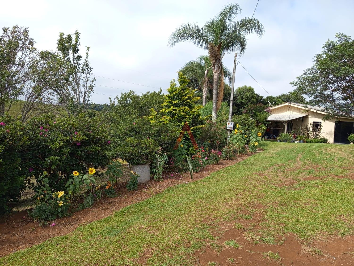 Chácara, 3 quartos - Foto 1