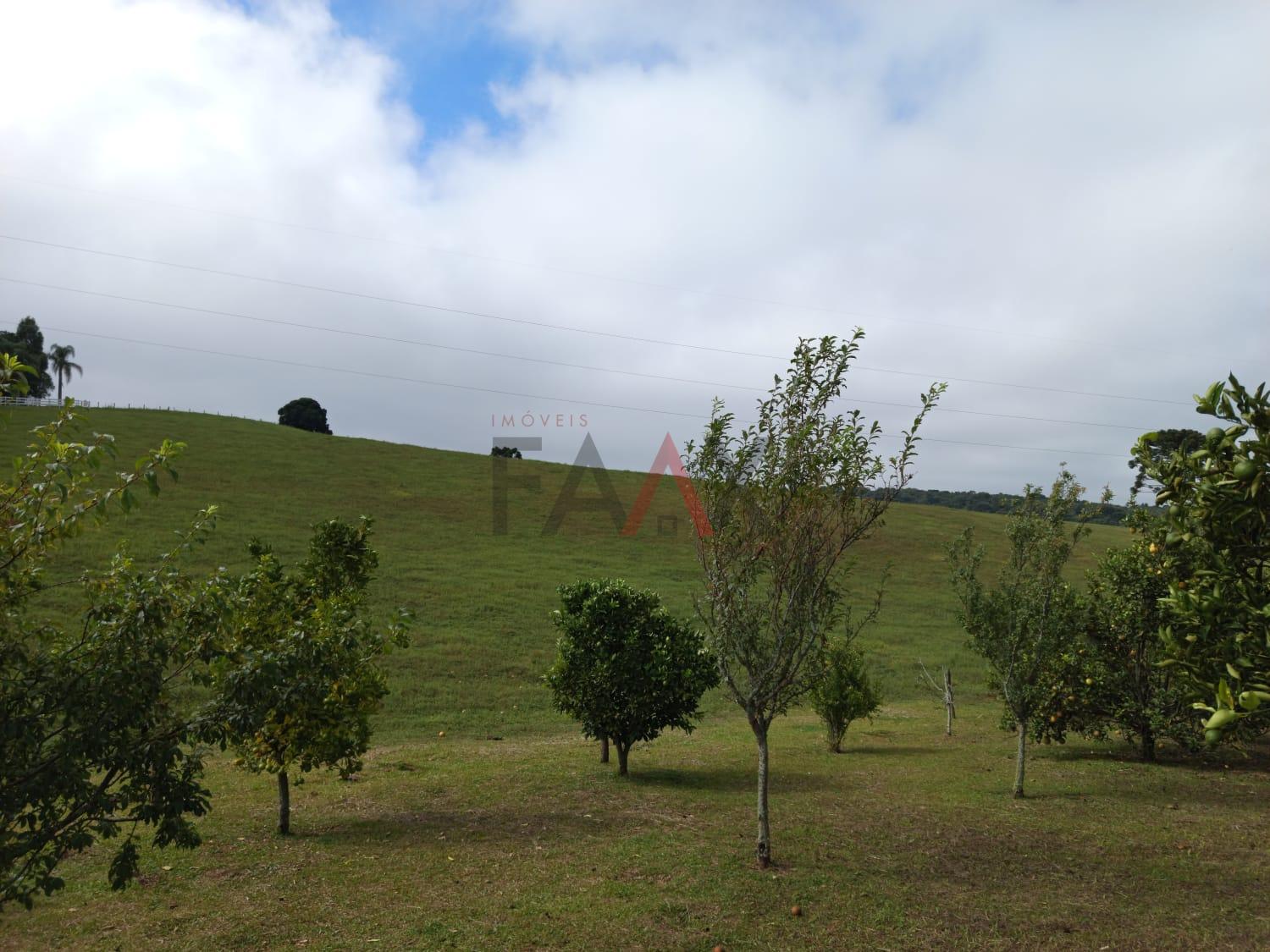 Chácara, 3 quartos - Foto 5