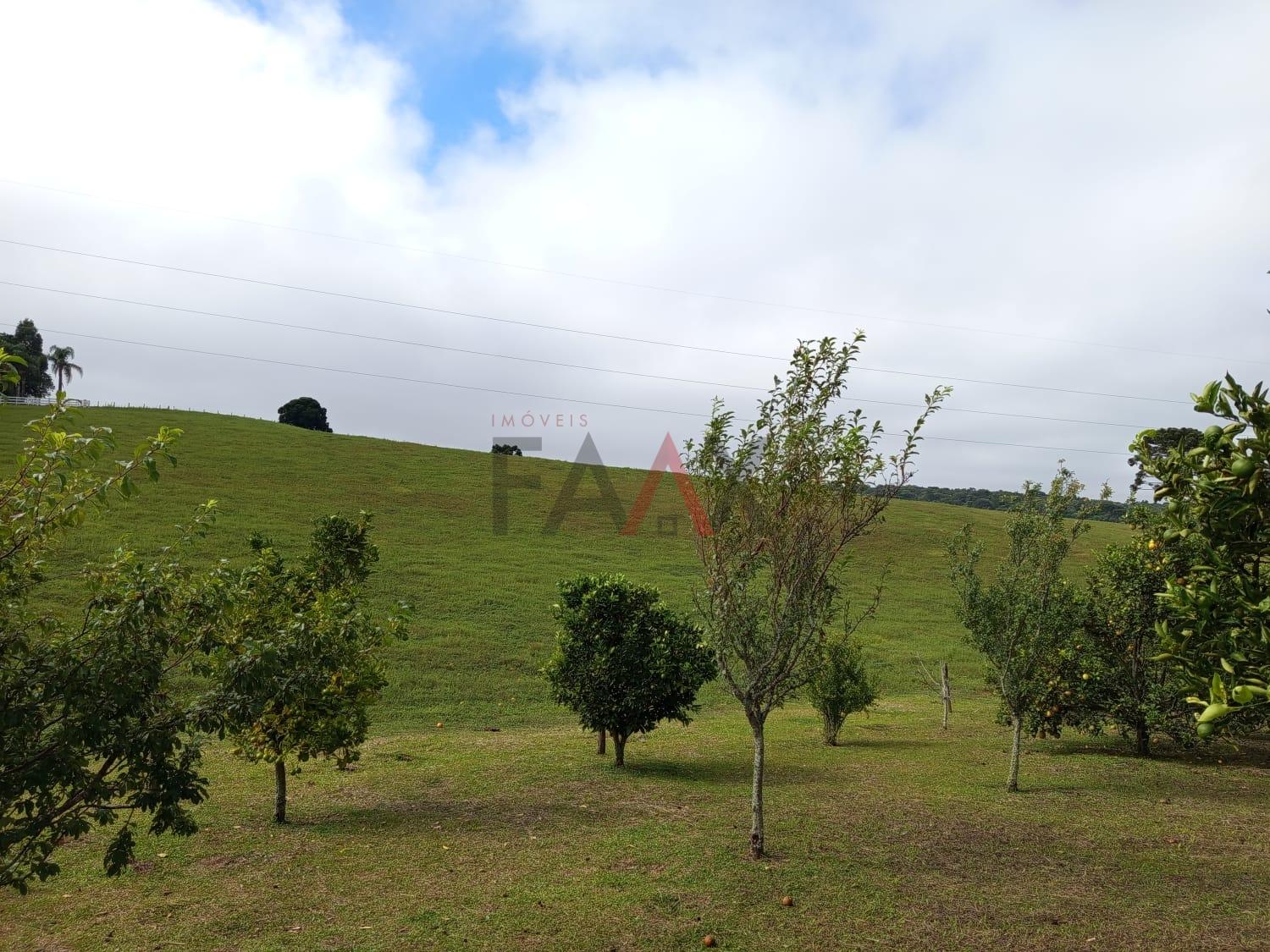 Chácara, 3 quartos - Foto 6