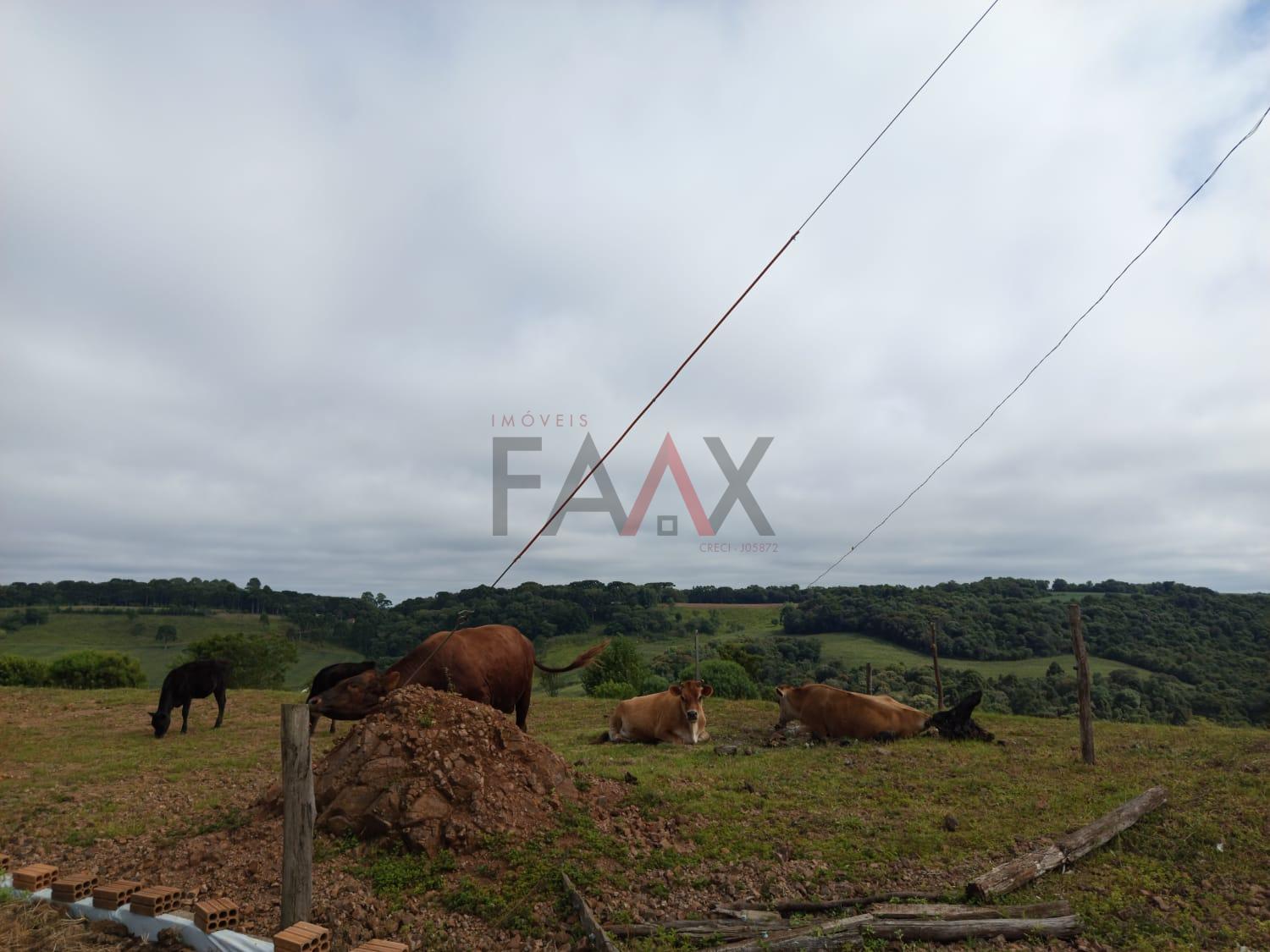 Chácara, 3 quartos - Foto 8