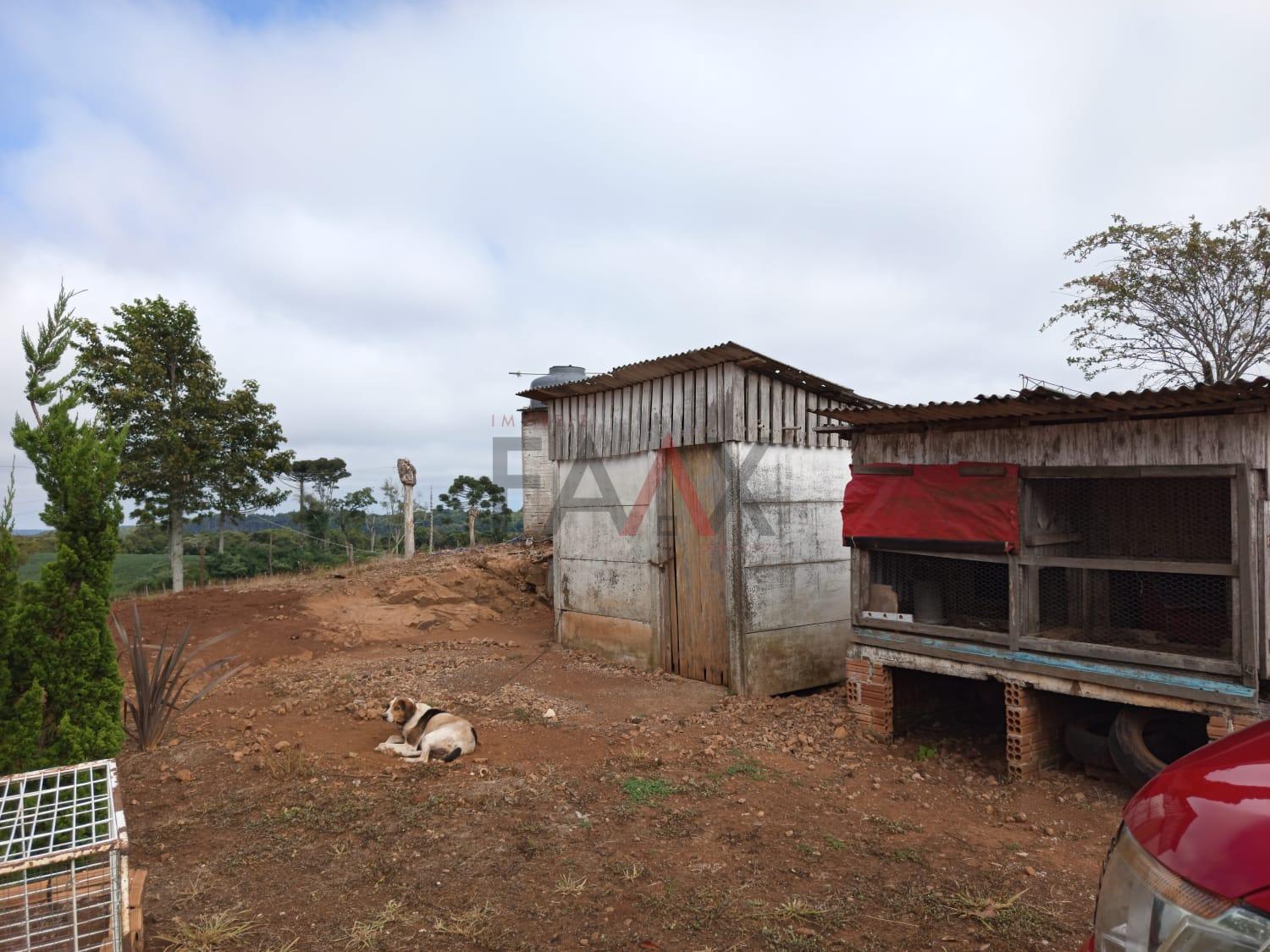 Chácara, 3 quartos - Foto 9