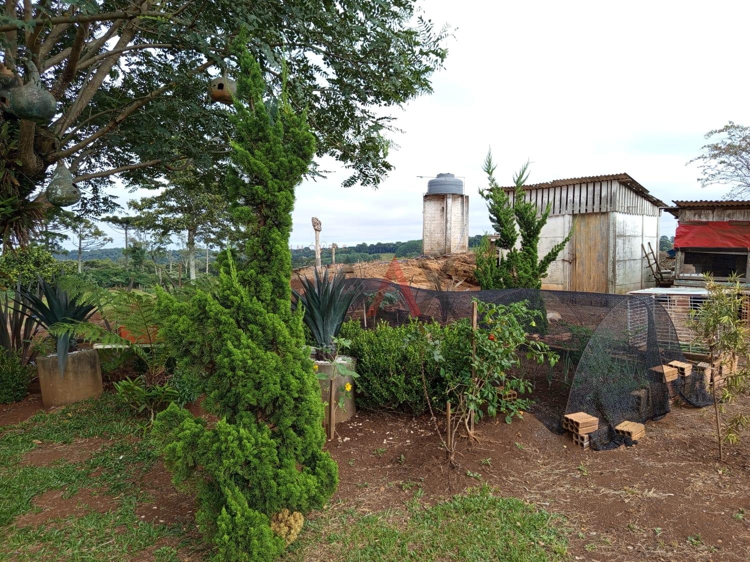 Chácara, 3 quartos - Foto 10