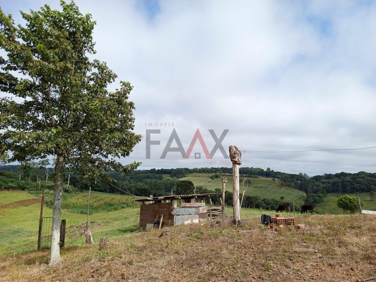 Chácara, 3 quartos - Foto 11