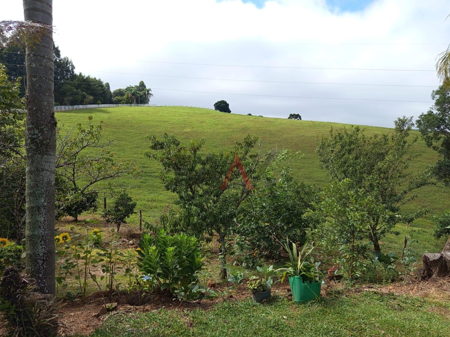 Chácara, 3 quartos - Foto 12