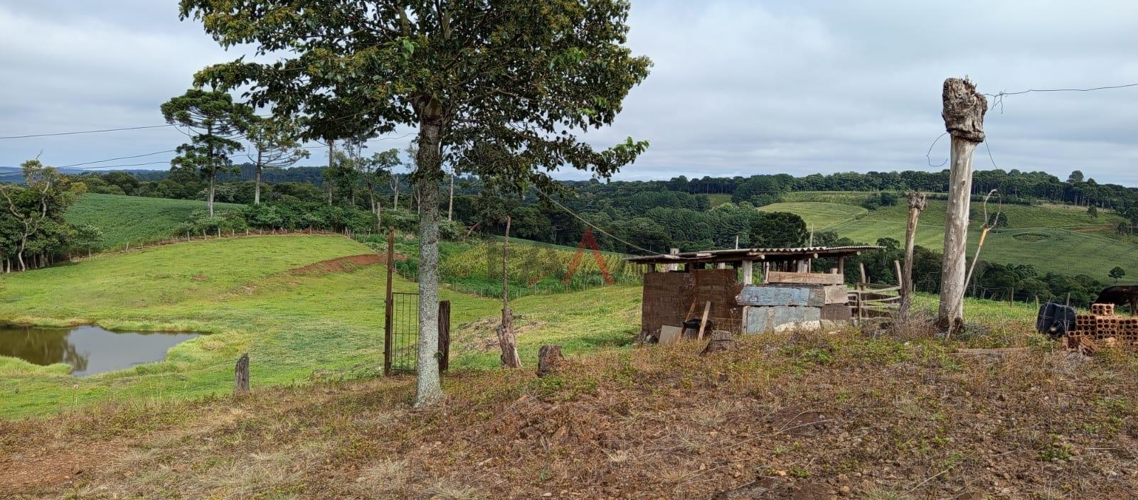 Chácara, 3 quartos - Foto 13